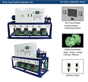 Carlyle Danfoss Fusheng Cold Room Compressor Unit 220V/1P/60Hz Blast Freezer