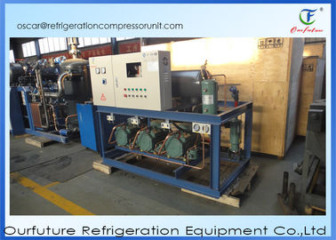 R22  Freezer Condensing Unit Piston Type Compressor Rack